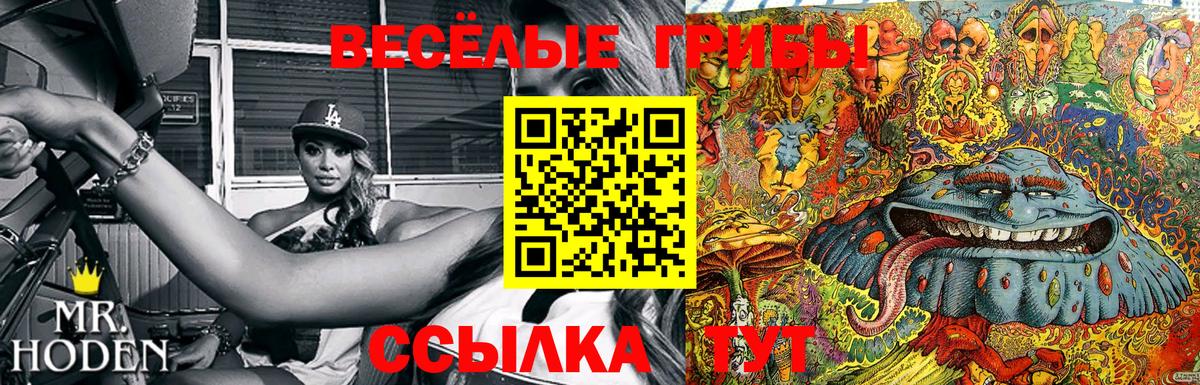 Галлюциногенные грибы MAGIC MUSHROOMS  наркошоп  Гагарин  Псилоцибиновые грибы ЛСД  Вход с VPN 